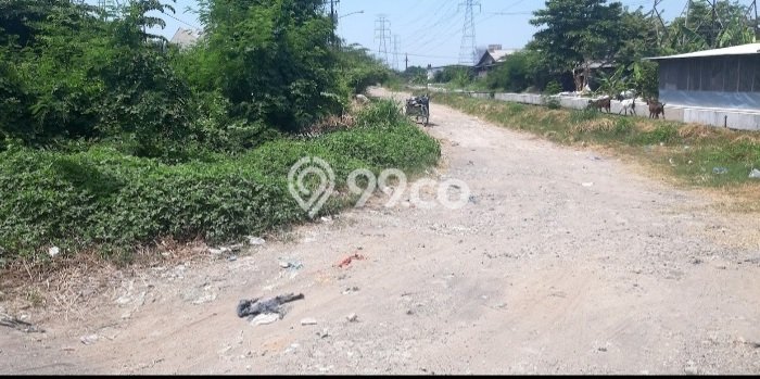 Disewakan Segera Tanah di Genuk Luas 3120m2 Area Potensial Disewakan Segera Tanah di Genuk Luas 3120m2 Area Potensial