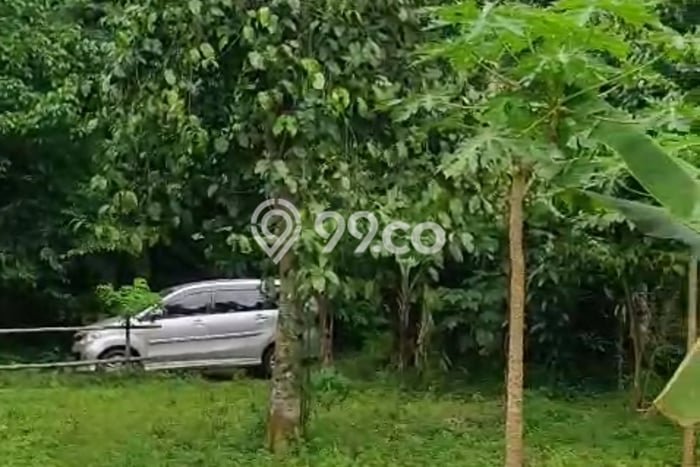 Tanah Dijual Lokasi Pabuaran, Serang dengan Luas Tanah 1663m2 dan Status AJB Tanah Dijual Lokasi Pabuaran, Serang dengan Luas Tanah 1663m2 dan Status AJB