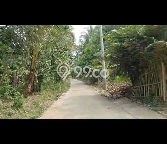 Tanah Dijual Lokasi Pabuaran, Serang dengan Luas Tanah 1663m2 dan Status AJB Tanah Dijual Lokasi Pabuaran, Serang dengan Luas Tanah 1663m2 dan Status AJB