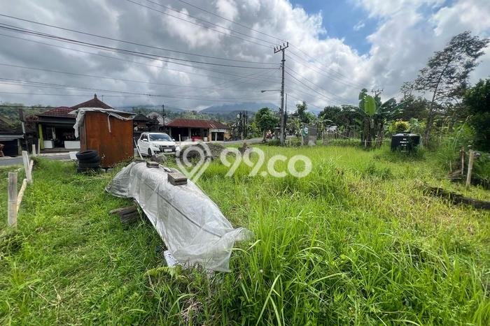 Disewakan Tanah di Tabanan, Luas 3250m2 Area Berkembang Disewakan Tanah di Tabanan, Luas 3250m2 Area Berkembang