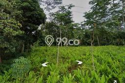 Tanah Dijual Lokasi Strategis di Salatiga dengan Luas 100m2 Tanah Dijual Lokasi Strategis di Salatiga dengan Luas 100m2