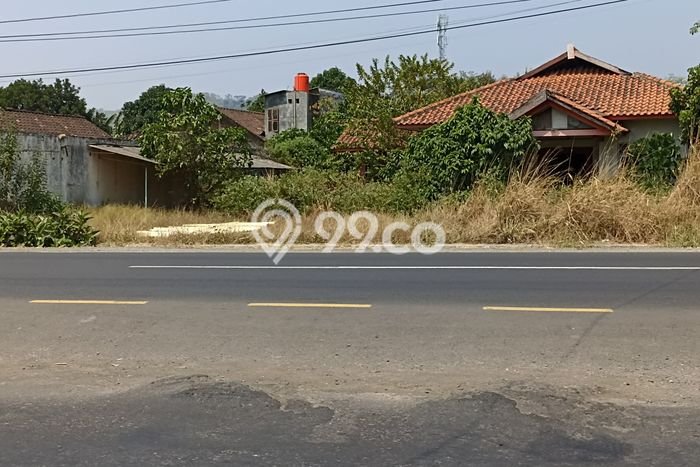 Komersial Disewakan Lokasi Gringsing Batang Harga Spesial! Komersial Disewakan Lokasi Gringsing Batang Harga Spesial!