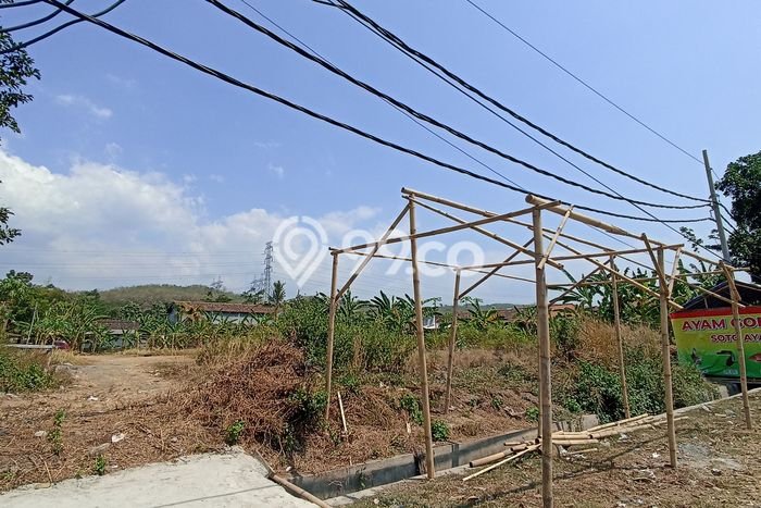 Tanah Kavling untuk Dijual di Gringsing Batang 3200m2 Tanah Kavling untuk Dijual di Gringsing Batang 3200m2