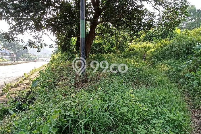 Tanah untuk Dijual di Batang Batang Luas 6980m2 Tanah untuk Dijual di Batang Batang Luas 6980m2