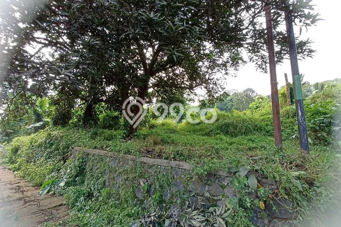 Tanah untuk Dijual di Batang Batang Luas 6980m2 Tanah untuk Dijual di Batang Batang Luas 6980m2