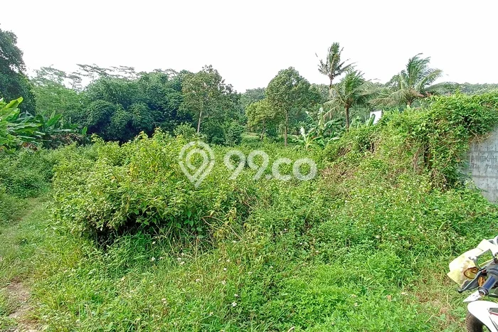 Tanah untuk Dijual di Batang Batang Luas 6980m2 Tanah untuk Dijual di Batang Batang Luas 6980m2