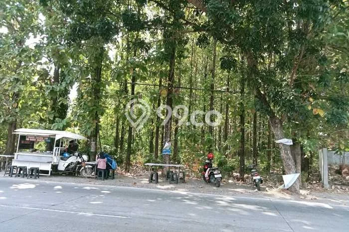 Tanah untuk Dijual Lokasi Patebon, Kendal Luas 3750m2 SHM Tanah untuk Dijual Lokasi Patebon, Kendal Luas 3750m2 SHM