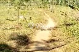 Untuk Dijual Tanah di Puspo Pasuruan Luas 40103m2 SHM Untuk Dijual Tanah di Puspo Pasuruan Luas 40103m2 SHM