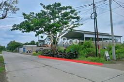 Kavling Tanah di Delanggu Dijual Luas 2389m2 Legalitas SHM Kavling Tanah di Delanggu Dijual Luas 2389m2 Legalitas SHM