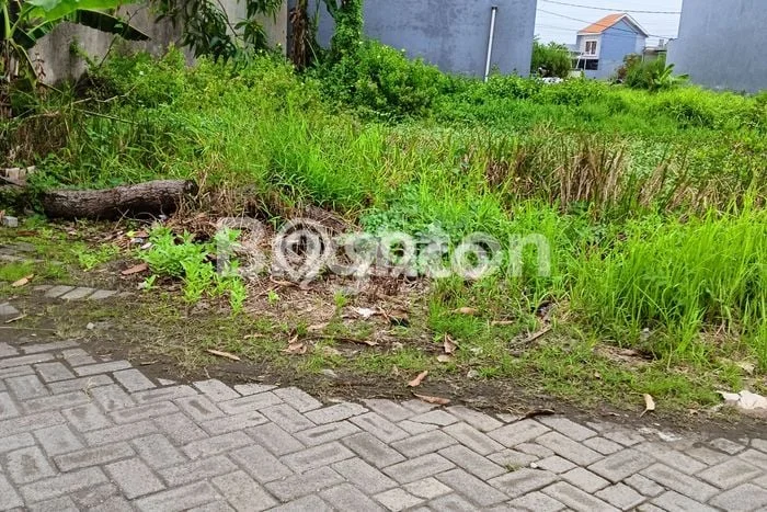 Tanah Strategis Dijual di Waru Sidoarjo 200m2 Tanah Strategis Dijual di Waru Sidoarjo 200m2