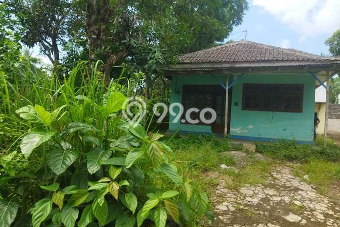 Dijual Hunian Rumah Terawat 4 Kamar di Curahdami, Bondowoso Dijual Hunian Rumah Terawat 4 Kamar di Curahdami, Bondowoso
