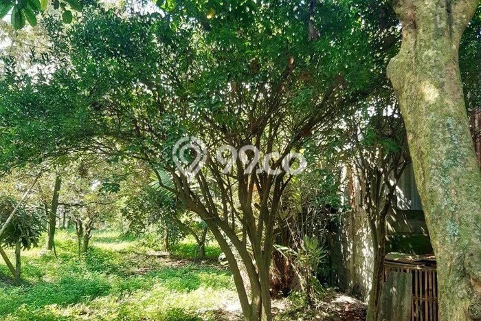 Lahan Kosong Dijual di Pasuruan dengan Area 5000m2 Lahan Kosong Dijual di Pasuruan dengan Area 5000m2