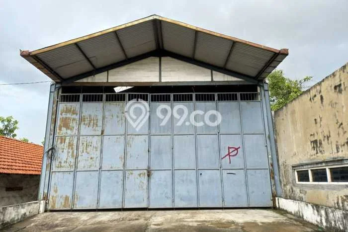 Gudang Disewakan di Area Ramai Driyorejo, Gresik Gudang Disewakan di Area Ramai Driyorejo, Gresik