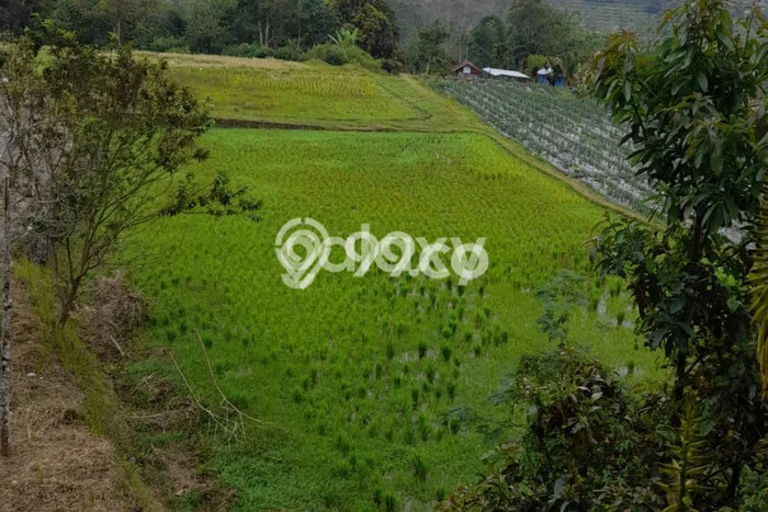 Kavling Tanah Dijual di Baturiti Tabanan Spesifikasi 76200m2 Kavling Tanah Dijual di Baturiti Tabanan Spesifikasi 76200m2