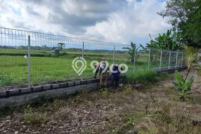 Disewakan Tanah di Ubud Luas 1000m2 SHM Disewakan Tanah di Ubud Luas 1000m2 SHM