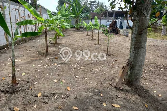 Disewakan Tanah di Ubud Luas 1000m2 SHM Disewakan Tanah di Ubud Luas 1000m2 SHM