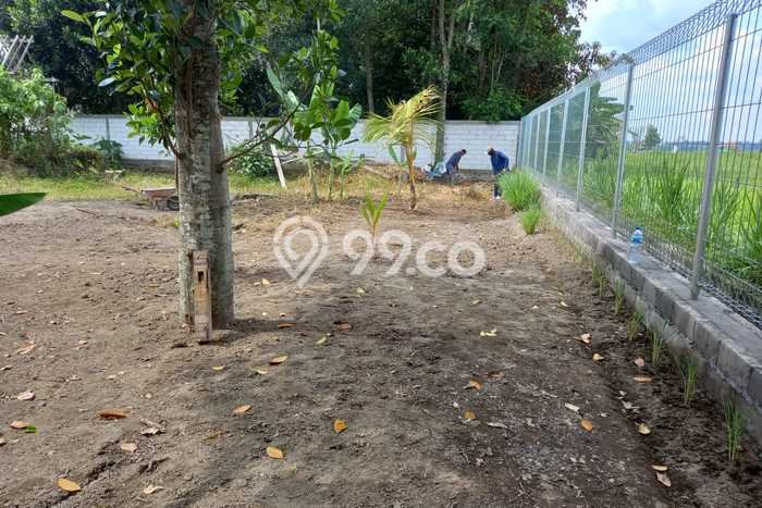 Disewakan Tanah di Ubud Luas 1000m2 SHM Disewakan Tanah di Ubud Luas 1000m2 SHM
