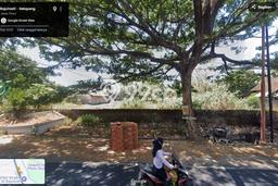 Tanah Komersial Dijual di Wongsorejo Banyuwangi 5000m2 Tanah Komersial Dijual di Wongsorejo Banyuwangi 5000m2