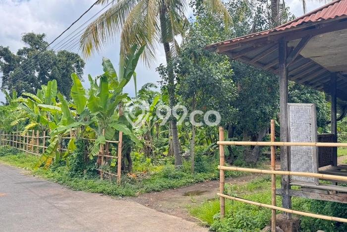 Dijual Tanah Lokasi Lovina, Buleleng Seluas 4210m2 Dijual Tanah Lokasi Lovina, Buleleng Seluas 4210m2