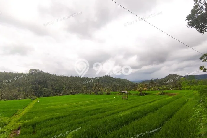 Tanah Dijual Lokasi Strategis di Buleleng dengan Luas 12110m2 Tanah Dijual Lokasi Strategis di Buleleng dengan Luas 12110m2