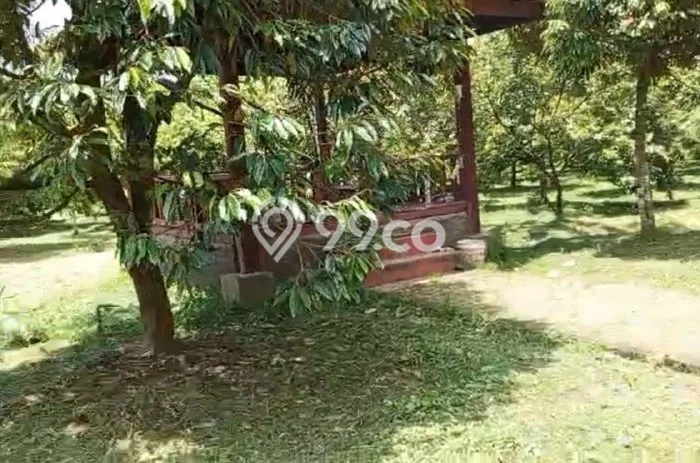 Lahan Kosong Dijual di Malang dengan Area 4000m2 Lahan Kosong Dijual di Malang dengan Area 4000m2