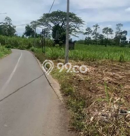 Jarang Ada! Tanah di Blimbing Punya Luas 2125m2 - Jarang Ada! Tanah di Blimbing Punya Luas 2125m2 -