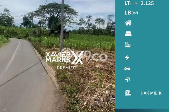 Jarang Ada! Tanah di Blimbing Punya Luas 2125m2 - Jarang Ada! Tanah di Blimbing Punya Luas 2125m2 -