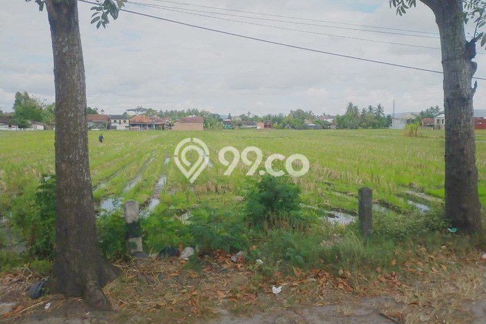 Tanah untuk Dijual Lokasi Bantul, Bantul Luas 2008m2 SHM Tanah untuk Dijual Lokasi Bantul, Bantul Luas 2008m2 SHM