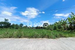 Untuk Dijual Tanah di Yogyakarta, Luas 1319m2 SHM Untuk Dijual Tanah di Yogyakarta, Luas 1319m2 SHM