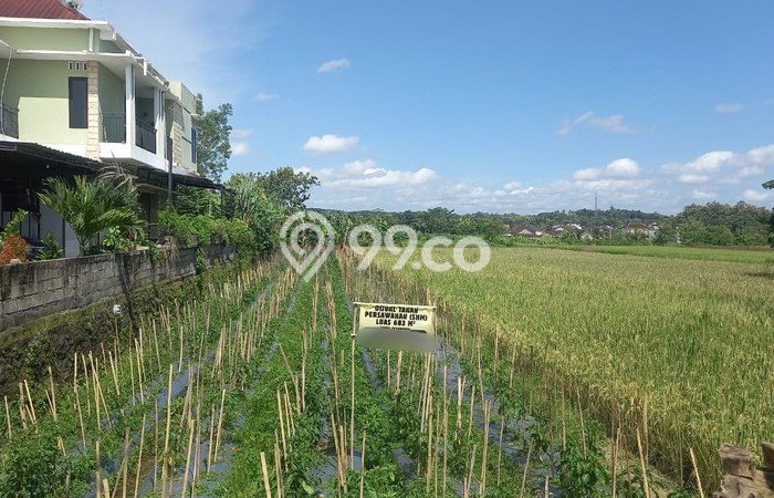 Jarang Ada! Tanah di Bantul Punya Luas 683m2 SHM Jarang Ada! Tanah di Bantul Punya Luas 683m2 SHM