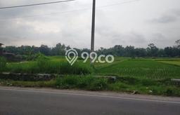 Kavling Tanah Disewakan di Sleman Sleman Luas 10000m2 Strategis Kavling Tanah Disewakan di Sleman Sleman Luas 10000m2 Strategis