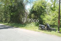 Jarang Ada! Tanah di Bantul Punya Luas 7600m2 SHM Jarang Ada! Tanah di Bantul Punya Luas 7600m2 SHM