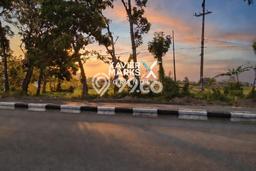 Untuk Dijual Tanah di Singosari Malang Luas 5115m2 SHM Untuk Dijual Tanah di Singosari Malang Luas 5115m2 SHM
