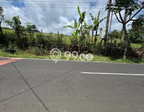 Kavling Tanah di Tutur Dijual Luas 70000m2 Legalitas SHM Kavling Tanah di Tutur Dijual Luas 70000m2 Legalitas SHM