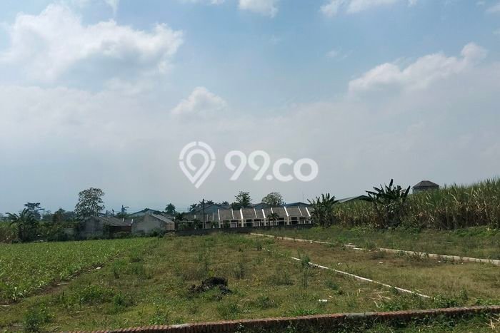 Tanah di Pakis, Malang Luas 2700m2 Dijual Segera Tanah di Pakis, Malang Luas 2700m2 Dijual Segera