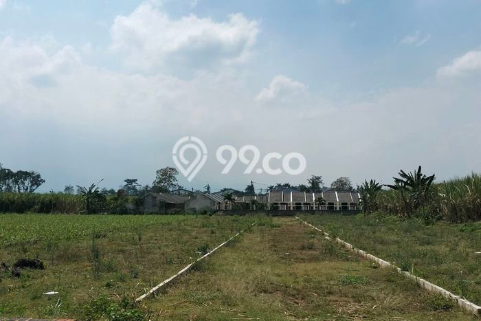 Tanah di Pakis, Malang Luas 2700m2 Dijual Segera Tanah di Pakis, Malang Luas 2700m2 Dijual Segera