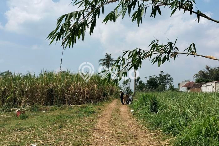 Tanah di Pakis, Malang Luas 2700m2 Dijual Segera Tanah di Pakis, Malang Luas 2700m2 Dijual Segera