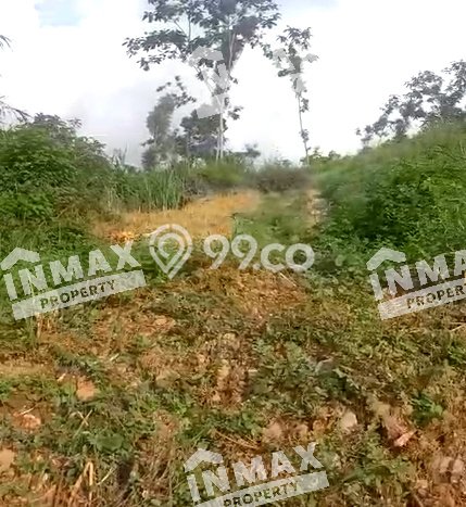 Jarang Ada! Tanah di Prigen Punya Luas 3257m2 SHM Jarang Ada! Tanah di Prigen Punya Luas 3257m2 SHM
