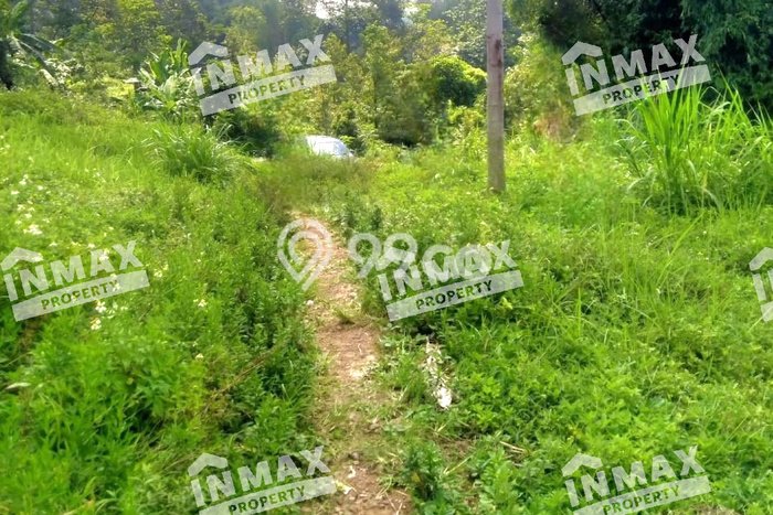 Jarang Ada! Tanah di Prigen Punya Luas 3257m2 SHM Jarang Ada! Tanah di Prigen Punya Luas 3257m2 SHM