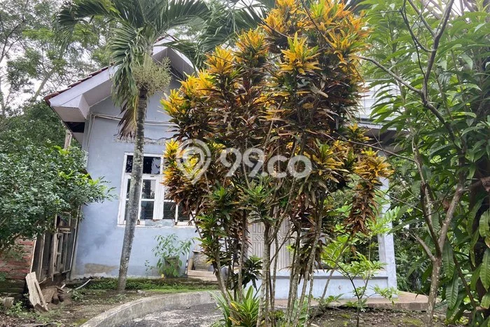 Tanah Kavling Dijual di Probolinggo, Probolinggo dengan Luas Tanah 7707m2 Tanah Kavling Dijual di Probolinggo, Probolinggo dengan Luas Tanah 7707m2