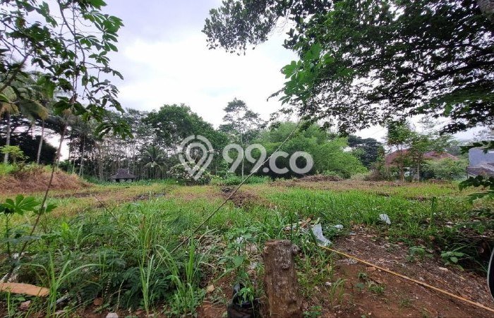 Untuk Dijual Tanah di Kedungkandang Malang Luas 957m2 - Untuk Dijual Tanah di Kedungkandang Malang Luas 957m2 -