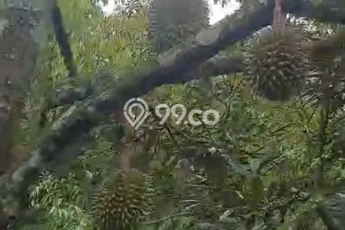 Tanah Kosong Dijual di Malang dengan Area 4000m2 Tanah Kosong Dijual di Malang dengan Area 4000m2