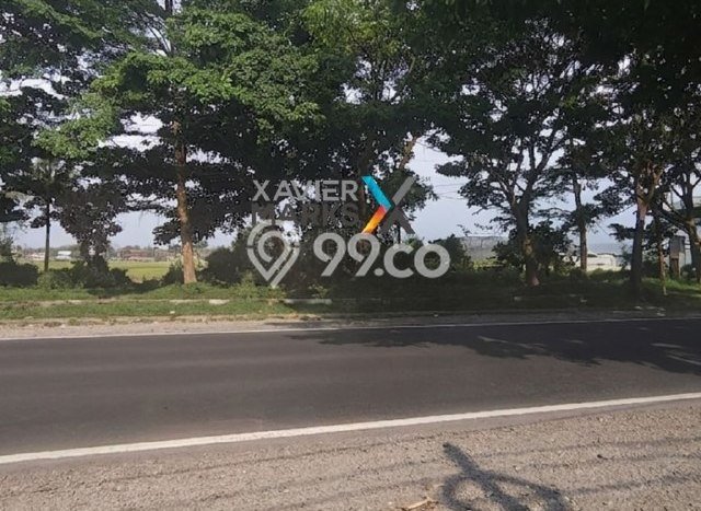 Tanah Disewakan Lokasi Kebonagung Sleman Luas 2566m2 Tanah Disewakan Lokasi Kebonagung Sleman Luas 2566m2