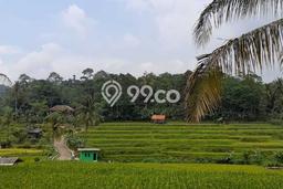 Tanah Dijual Lokasi Purwakarta Purwakarta - Tanah Dijual Lokasi Purwakarta Purwakarta -