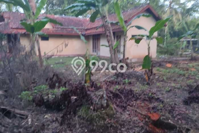 Tanah Kavling Dijual di Kulon Progo dengan Spesifikasi 1972m2 Tanah Kavling Dijual di Kulon Progo dengan Spesifikasi 1972m2