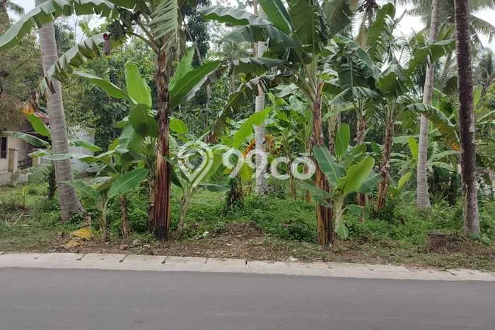 Tanah Dijual Area Strategis di Kulonprogo Kulon Progo 1303m2 Tanah Dijual Area Strategis di Kulonprogo Kulon Progo 1303m2