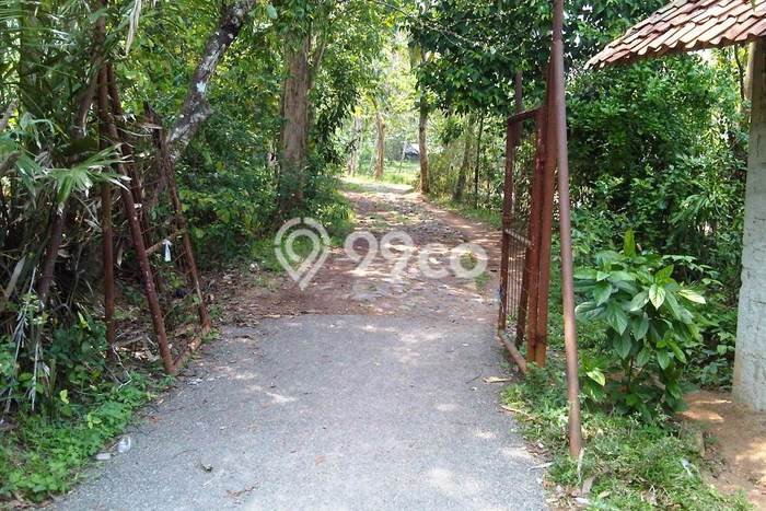 Tanah di Tenjo, Bogor Luas 120m2 Dijual Segera Tanah di Tenjo, Bogor Luas 120m2 Dijual Segera