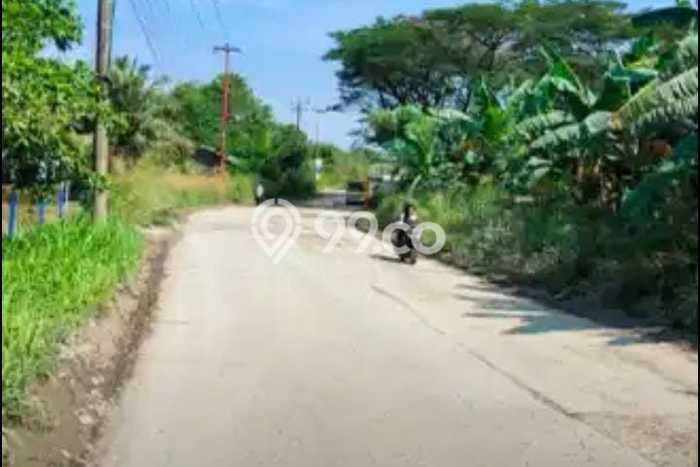 Tanah di Rumpin, Bogor Luas 10500m2 Dijual Segera Tanah di Rumpin, Bogor Luas 10500m2 Dijual Segera