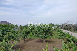 Tanah Kavling Dijual di Tangerang dengan Spesifikasi 3000m2 Tanah Kavling Dijual di Tangerang dengan Spesifikasi 3000m2