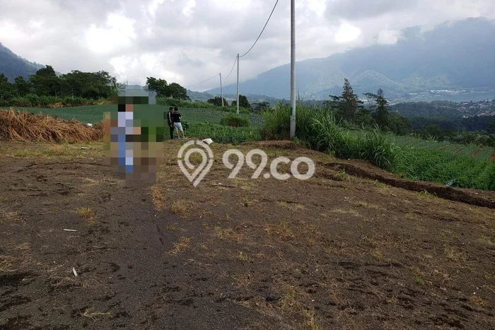 Lahan Dijual Lokasi Strategis di Tabanan dengan Luas 2000m2 Lahan Dijual Lokasi Strategis di Tabanan dengan Luas 2000m2